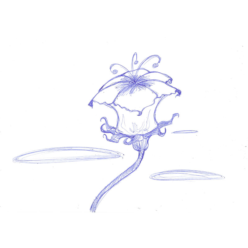 Dessins-800x800-7